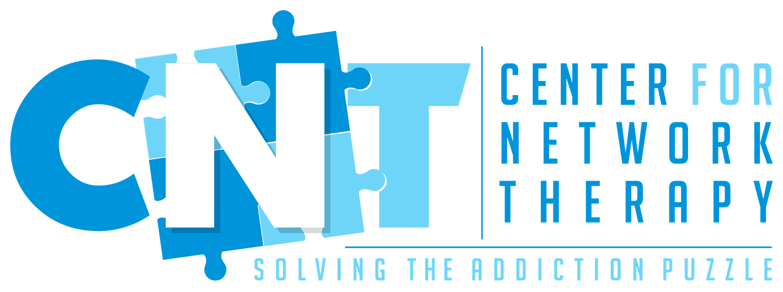 Center for Network Therapy