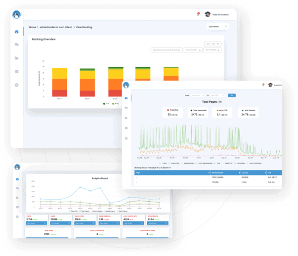 PageTraffic Digital Agency Dashboard campaign reporting interface